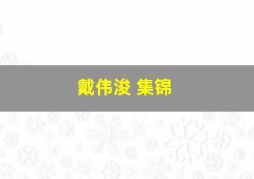 戴伟浚 集锦